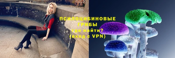 амфетамин Болотное