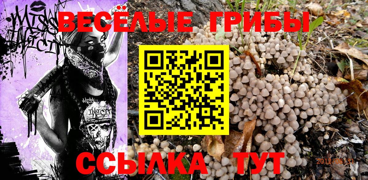 Галлюциногенные грибы мицелий  Вход с VPN  Дубна 